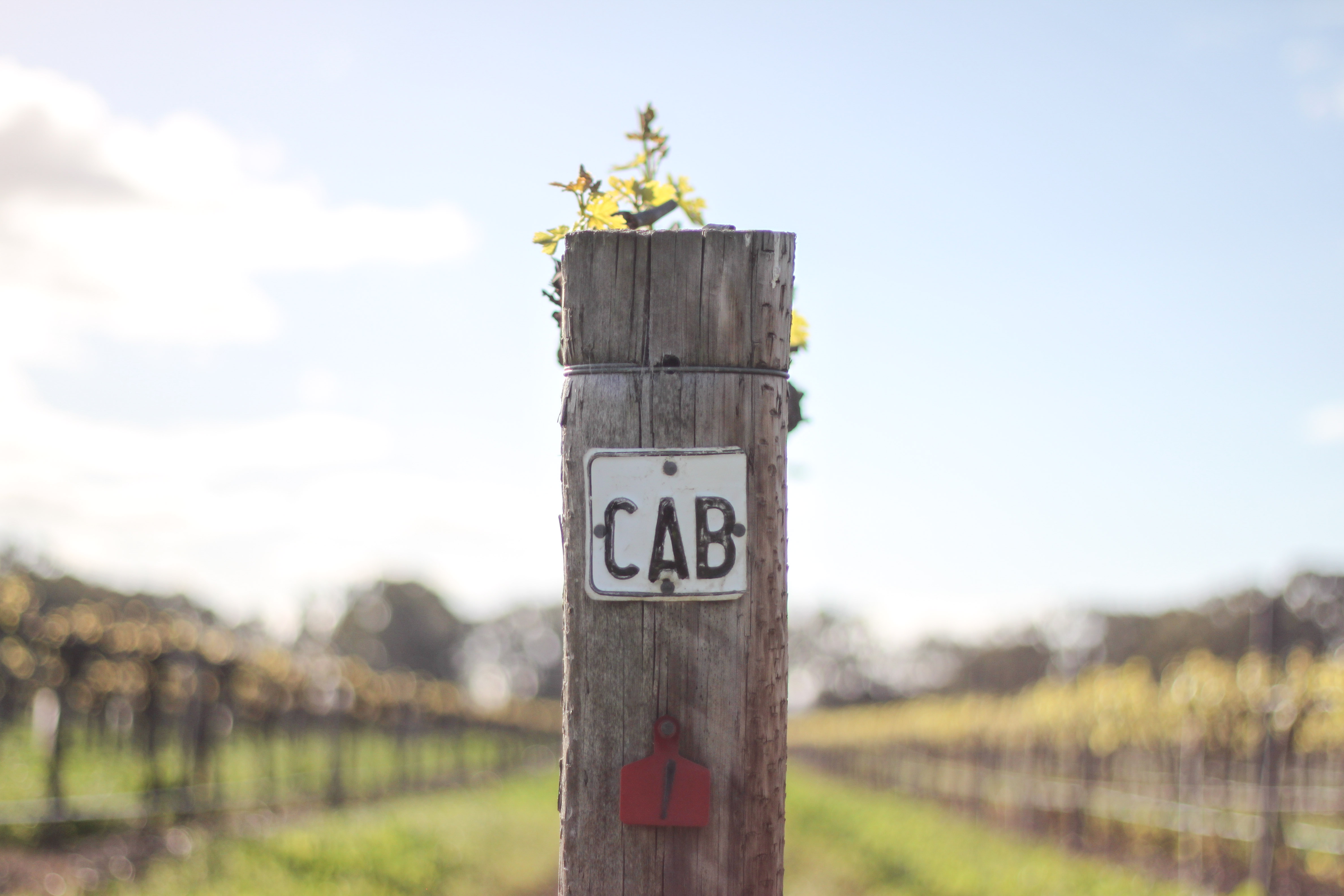 Bleasdale Cabernet Sign